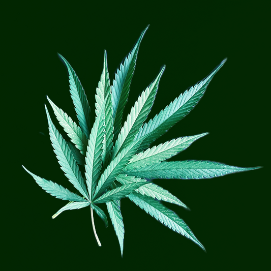 Hemp Leaf Pack Fresh The Botanical Joint