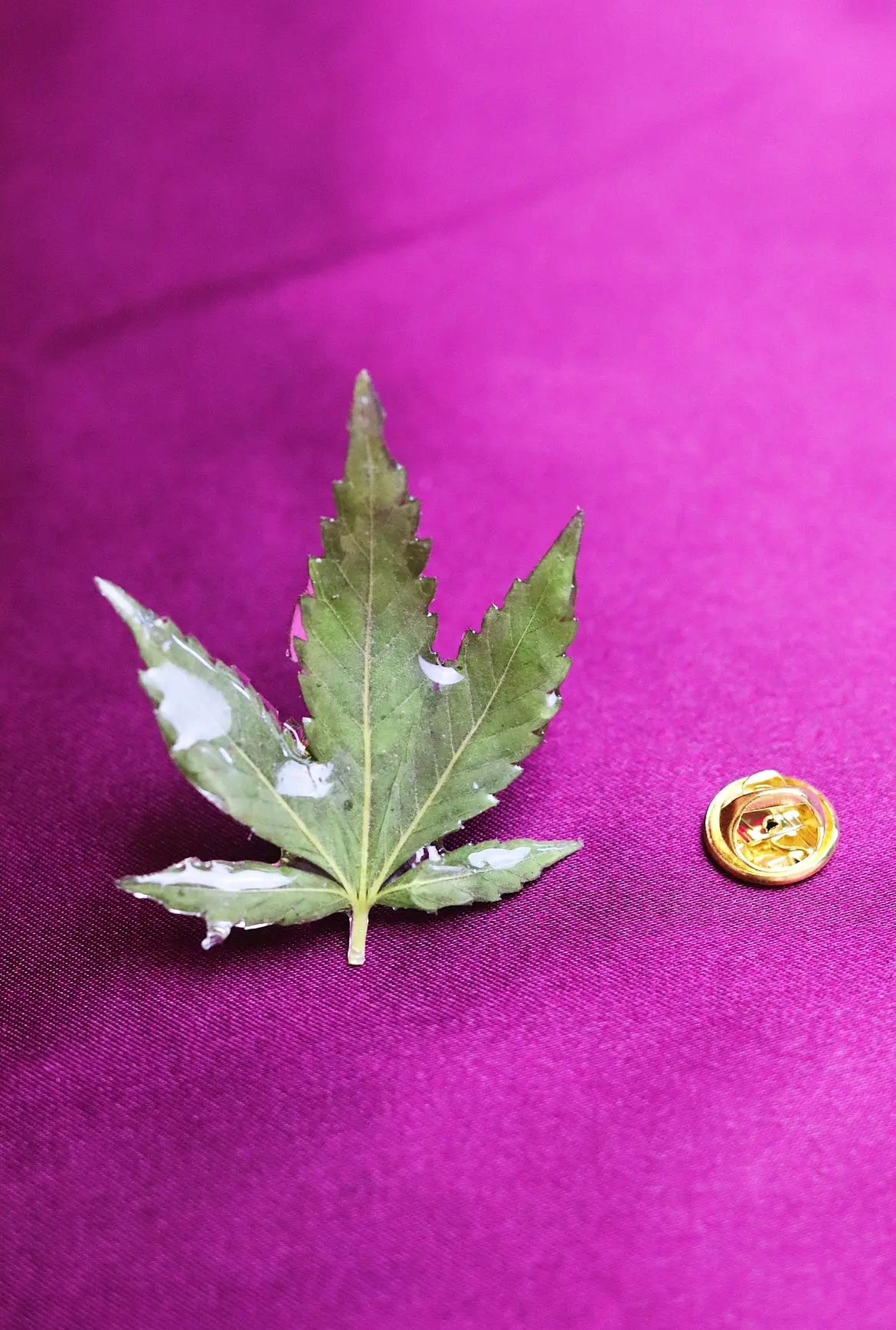 Alfiler Sombrero De Hoja - The Leaf Hat Pin Ranchera Familia