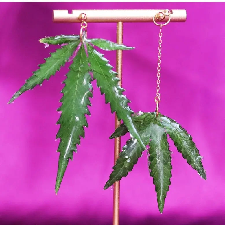 Aretes De Hoja - Canna Leaf Earrings Ranchera Familia