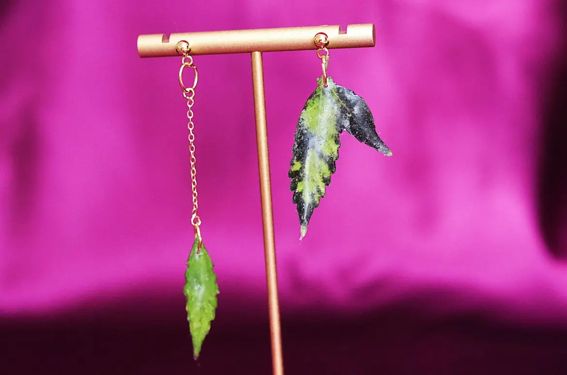 Aretes De Hoja - Canna Leaf Earrings Ranchera Familia
