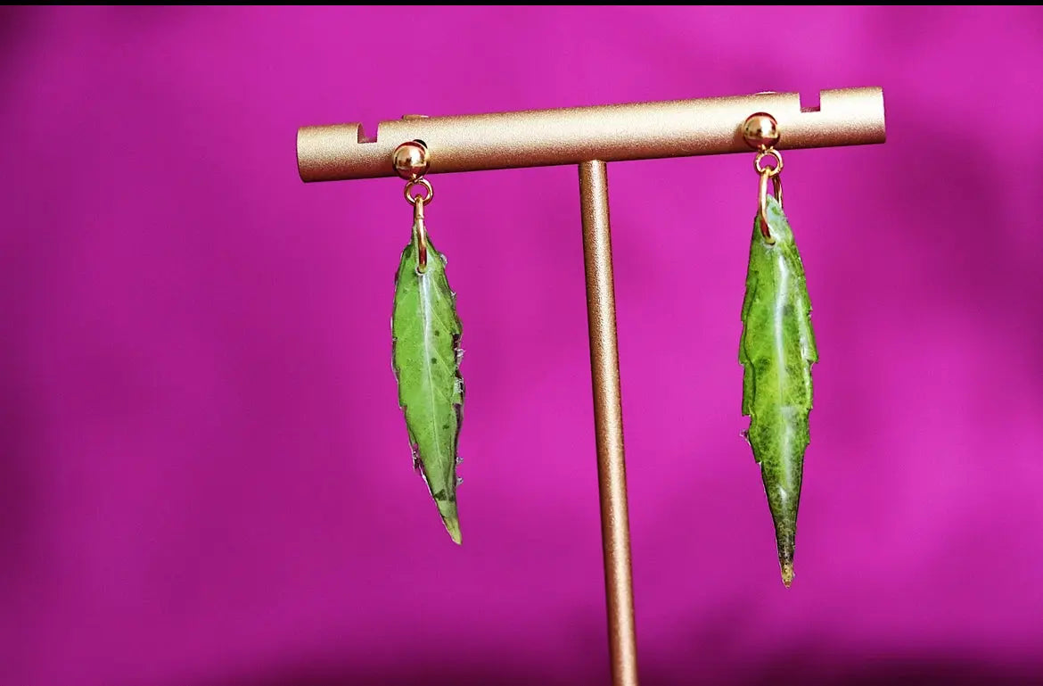 Aretes De Hoja - Canna Leaf Earrings Ranchera Familia