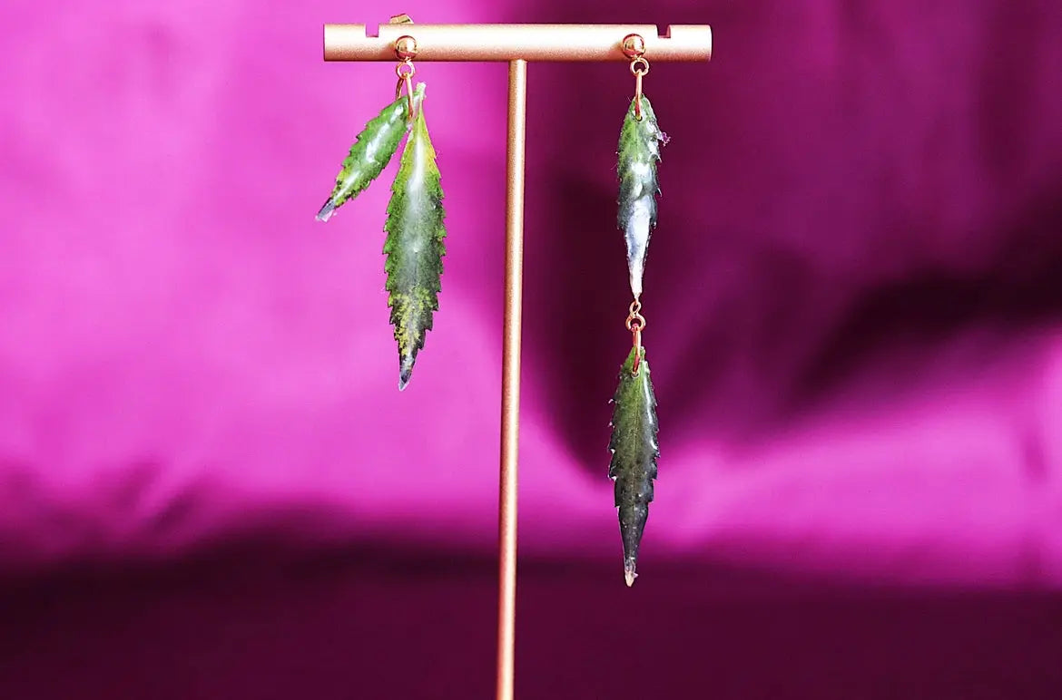 Aretes De Hoja - Canna Leaf Earrings Ranchera Familia