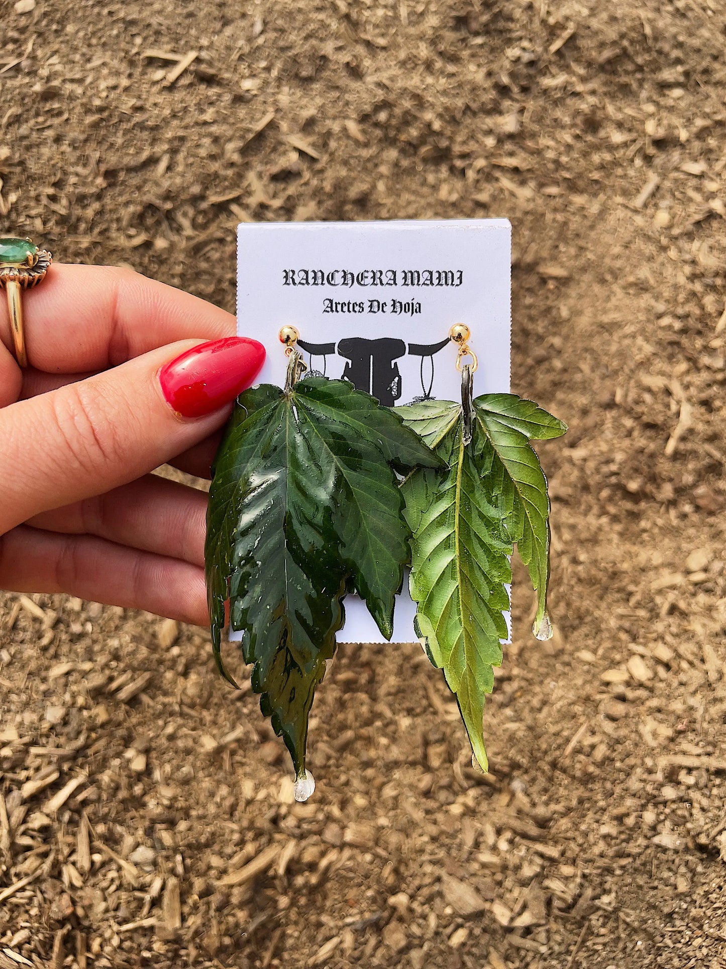 Aretes De Hoja - Canna Leaf Earrings(First Release is Sold Out) Ranchera Familia