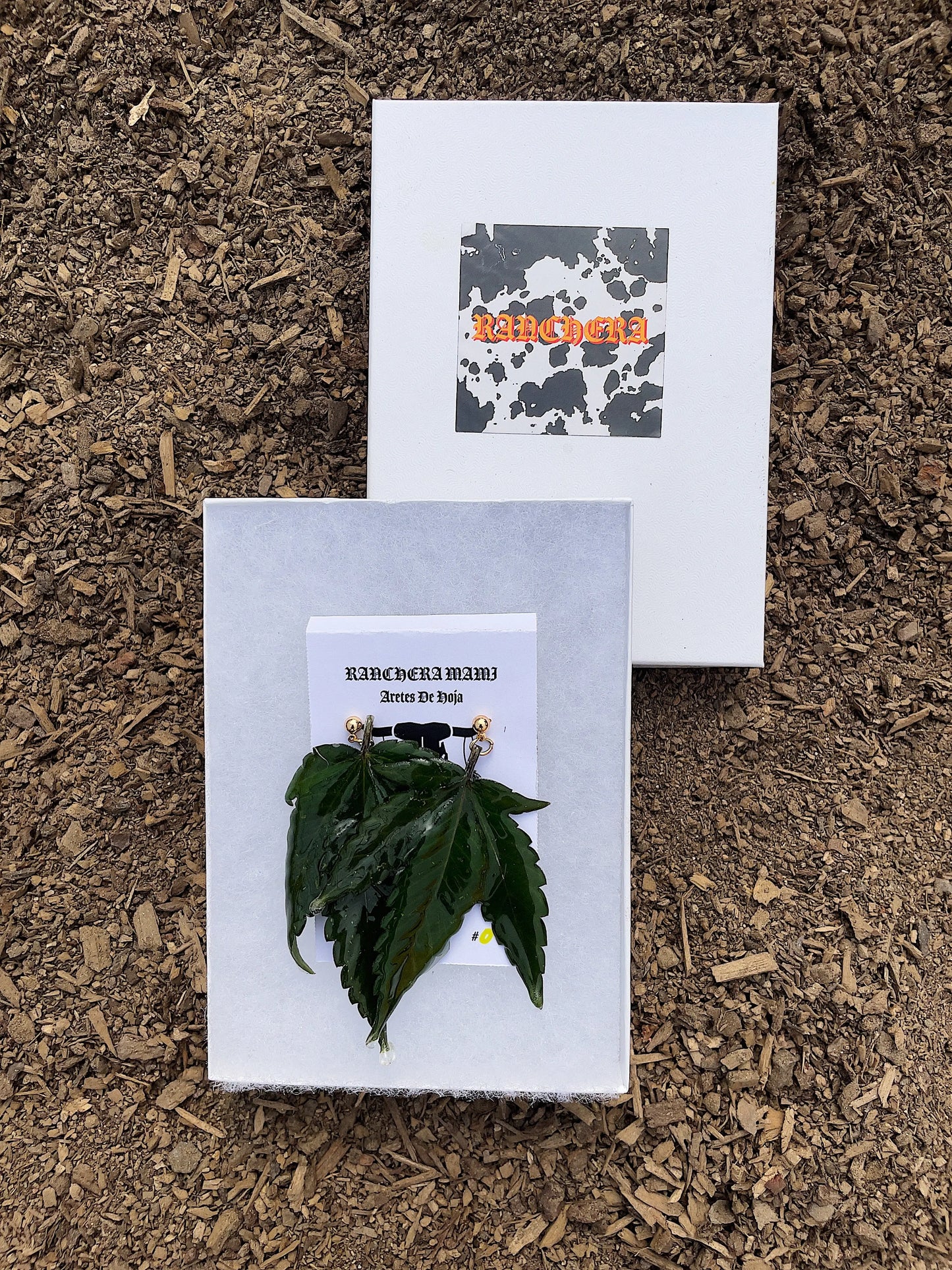 Aretes De Hoja - Canna Leaf Earrings(First Release is Sold Out) Ranchera Familia