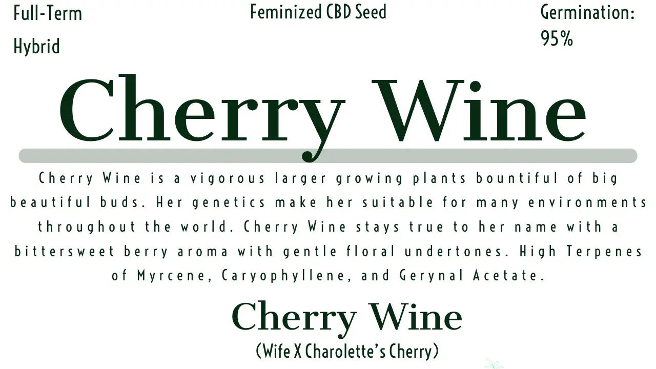 Cherry Wine Feminized Hemp Pollen The Botanical Joint