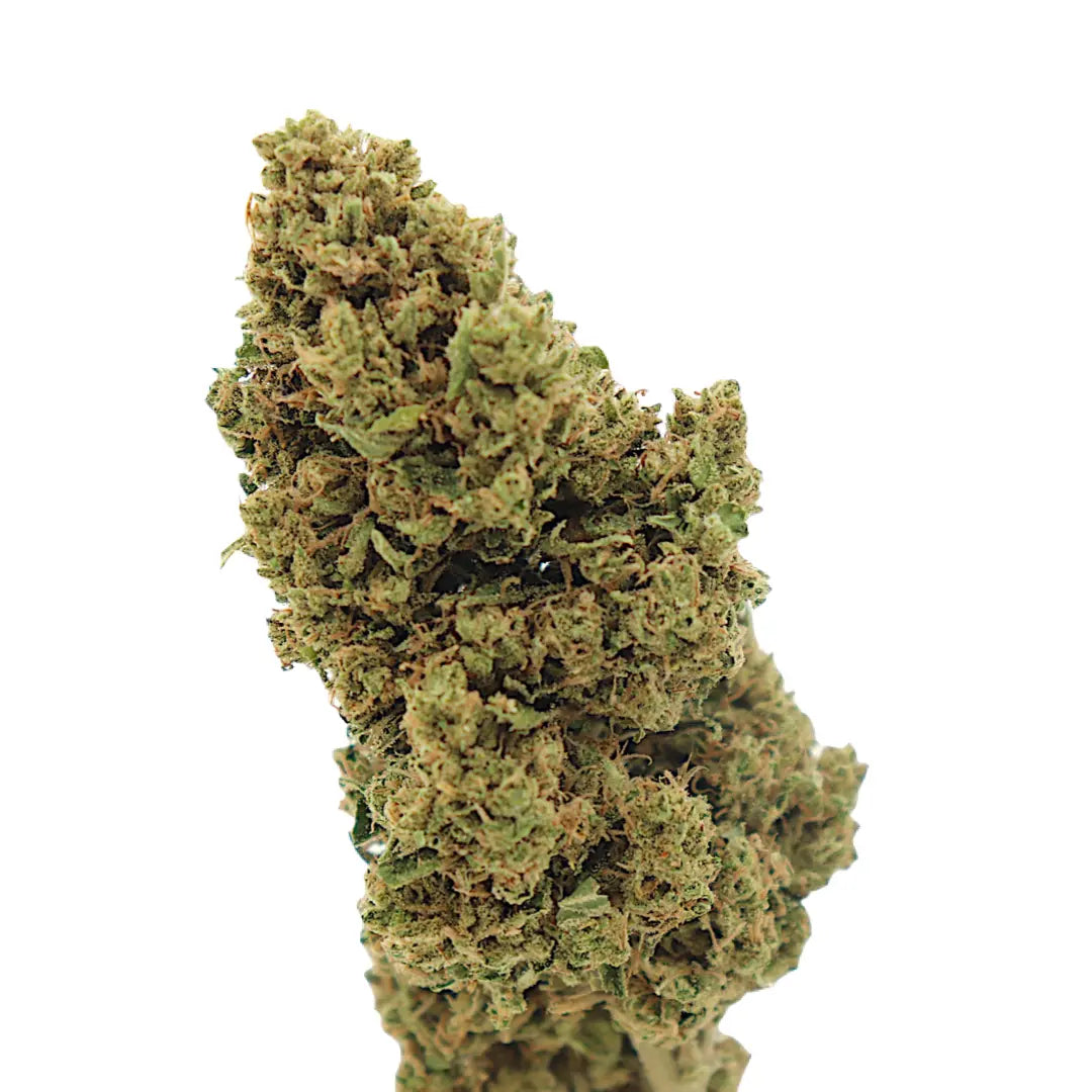 Frida Feminized CBD Hemp Seeds The Botanical Joint