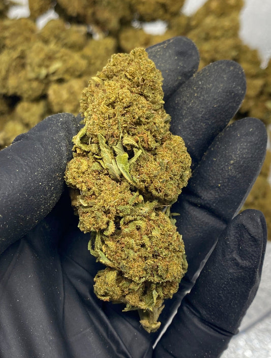 Fed Tonic 14.89% CBD Hemp Coalition Worldwide