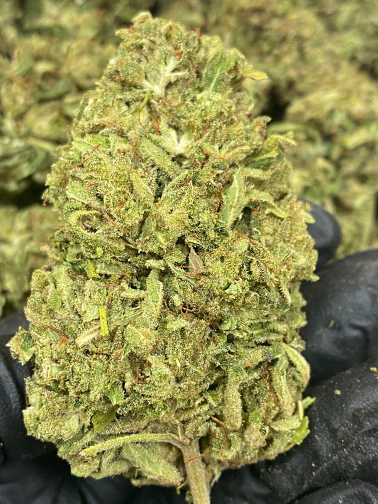 Hawaiian Haze 15.08% CBD Hemp Coalition Worldwide