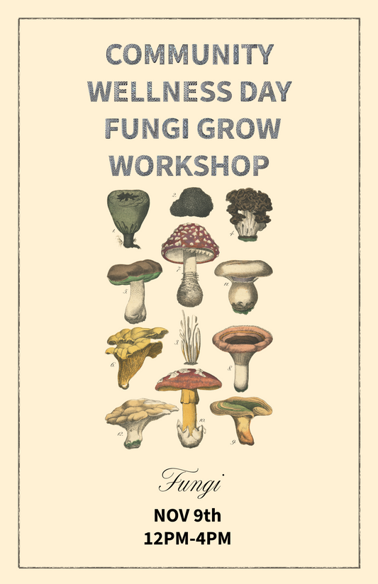Community Wellness Mushroom Propagation Workshop Nov 9th Ranchera Familia