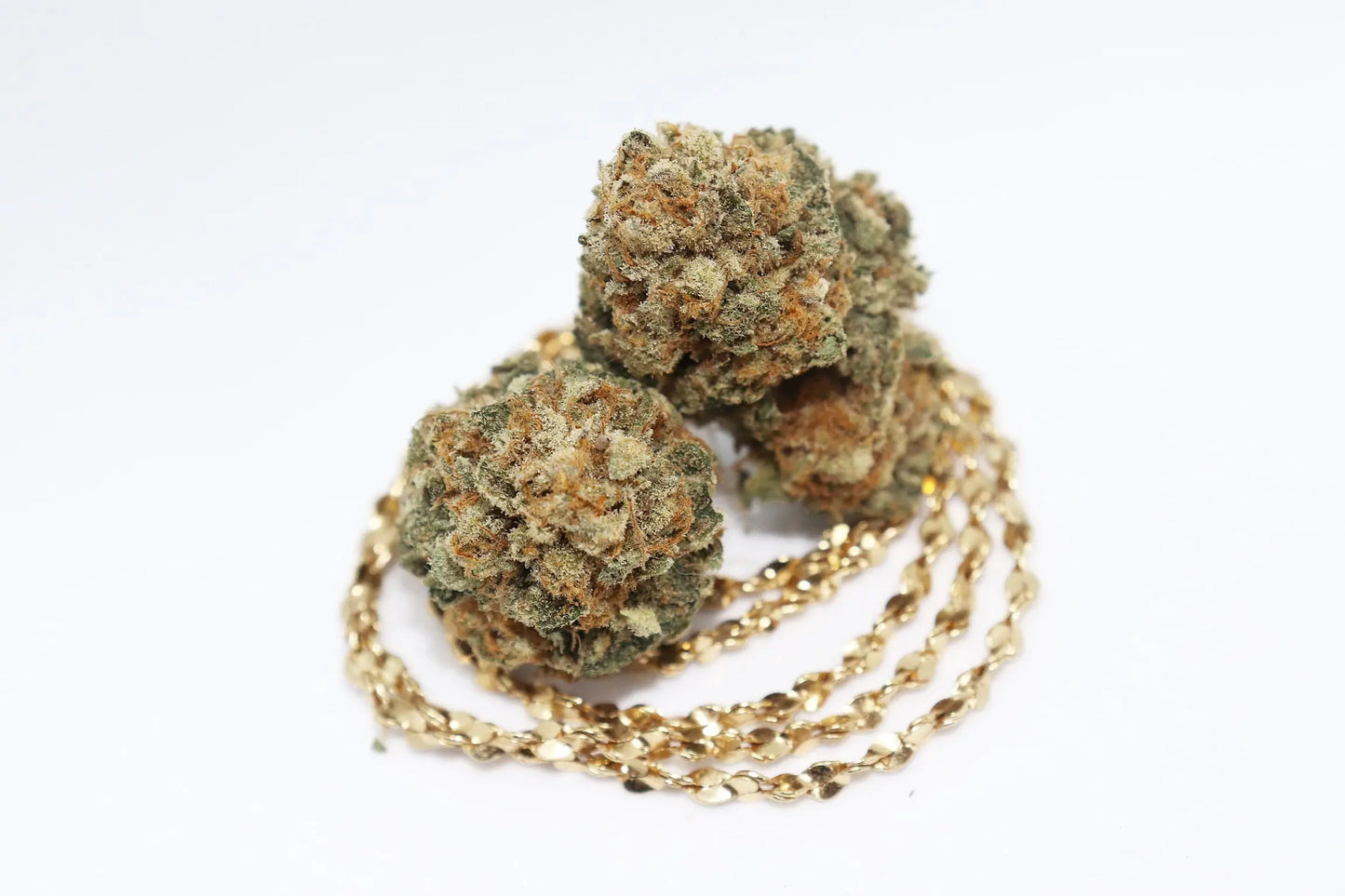 Orange Glaze Feminized CBD Hemp Seeds The Botanical Joint