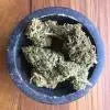 Otto II Non-Feminized Hemp CBD Seeds The Botanical Joint