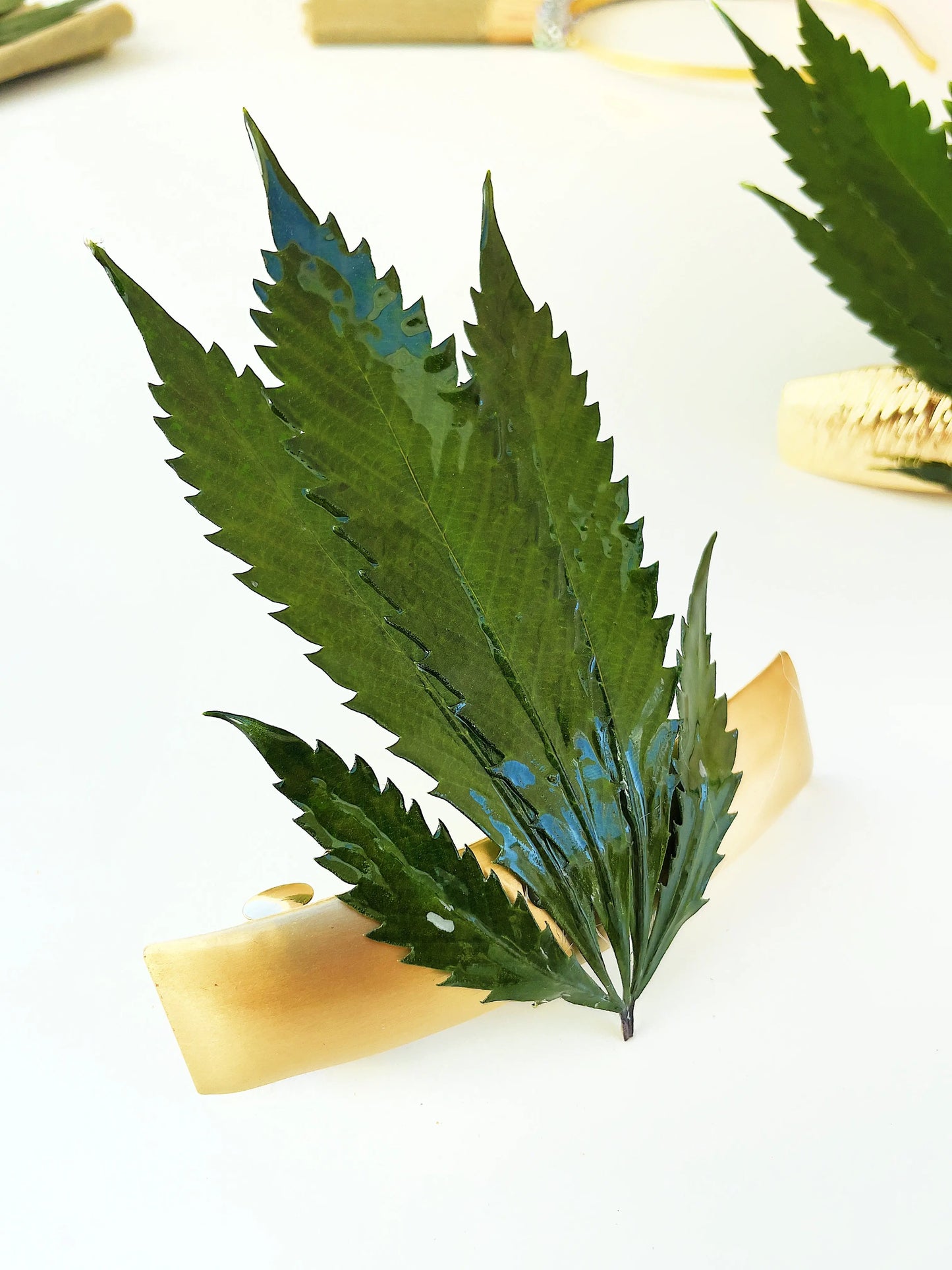 Preserved Real Hemp Leaf Resin Large Thick Gold Hair Clip Ranchera Familia