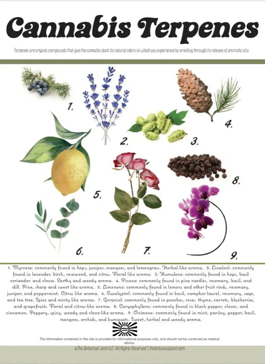 Two Part Printed Poster: Cannabis Terpenes+Terpene Effects The Botanical Joint