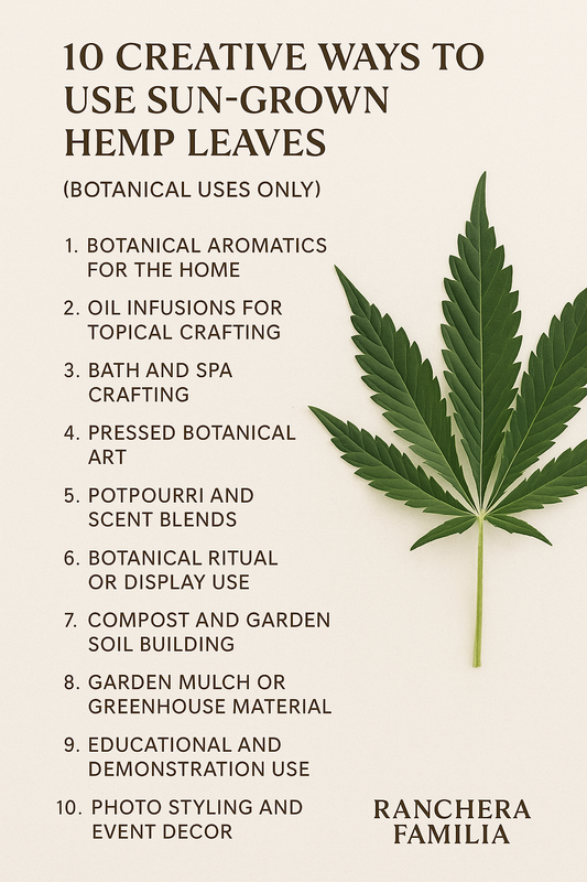 Explore ten compliant, non-ingestible ways to use Ranchera Familia’s sun-grown hemp leaves, including aromatic, topical-prep, craft, photographic, and décor applications.