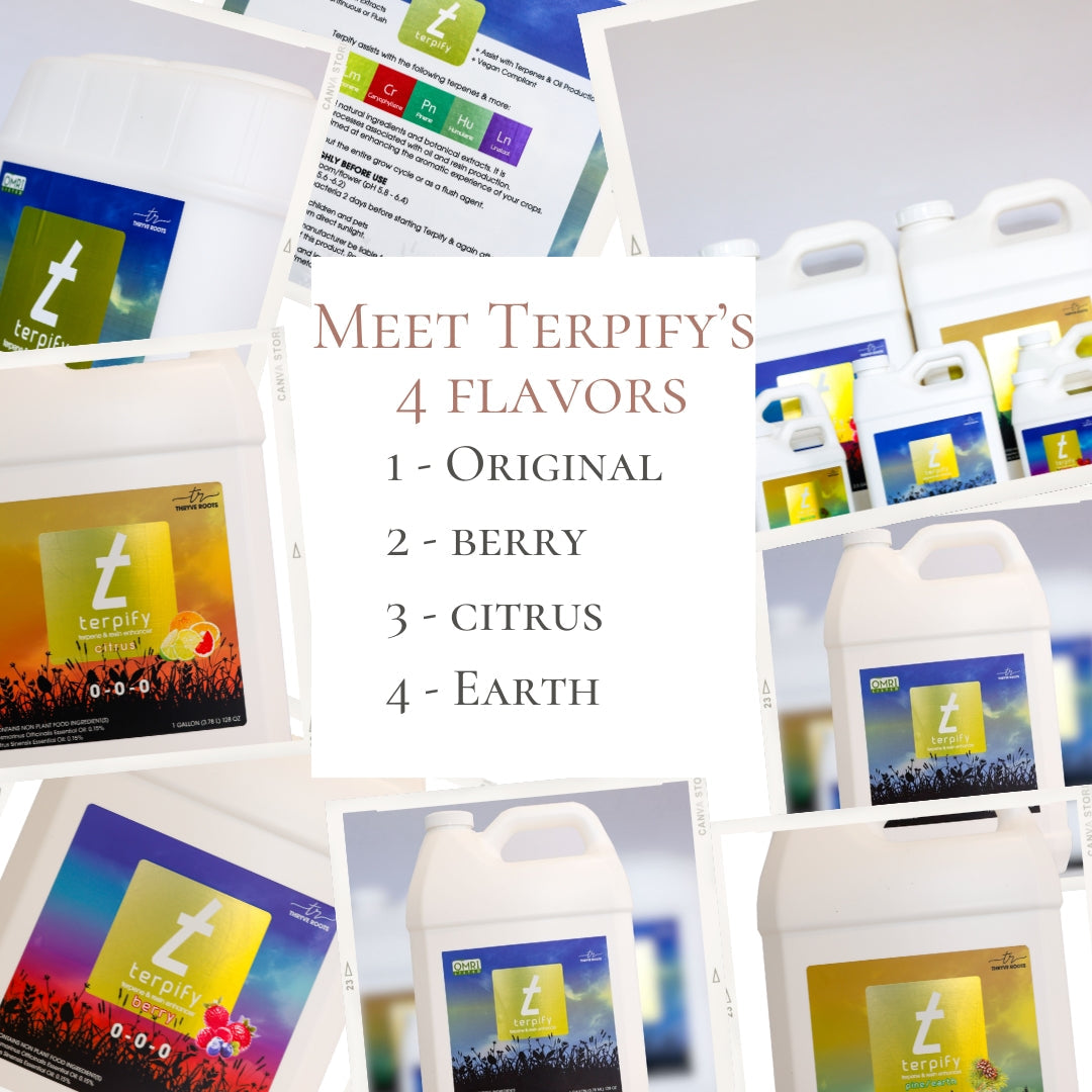 Organic-Soil-Amendments-Why-Clean-Inputs-Improve-Quality Ranchera Familia