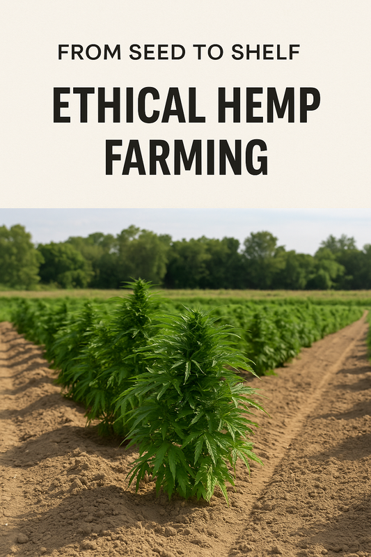 How Ethical Hemp Is Grown: A Seed-to-Shelf Consumer Guide