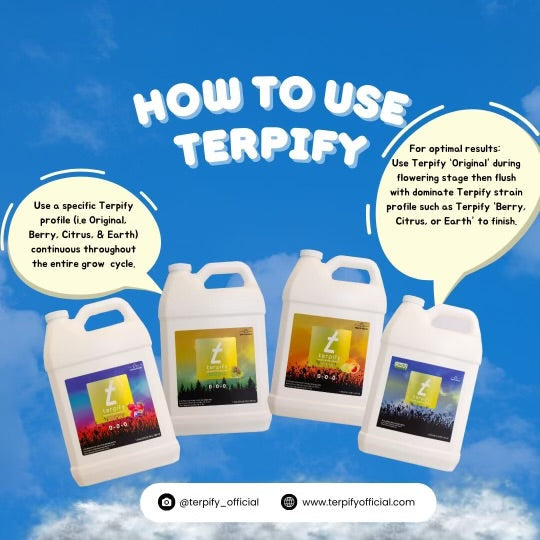 How-to-Use-Terpify-Complete-Application-Guide-for-Growers Ranchera Familia