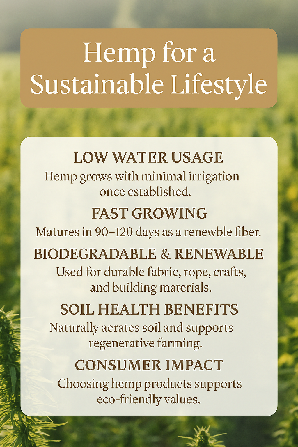 Why Hemp Is a Sustainable Choice for Eco-Conscious Consumers