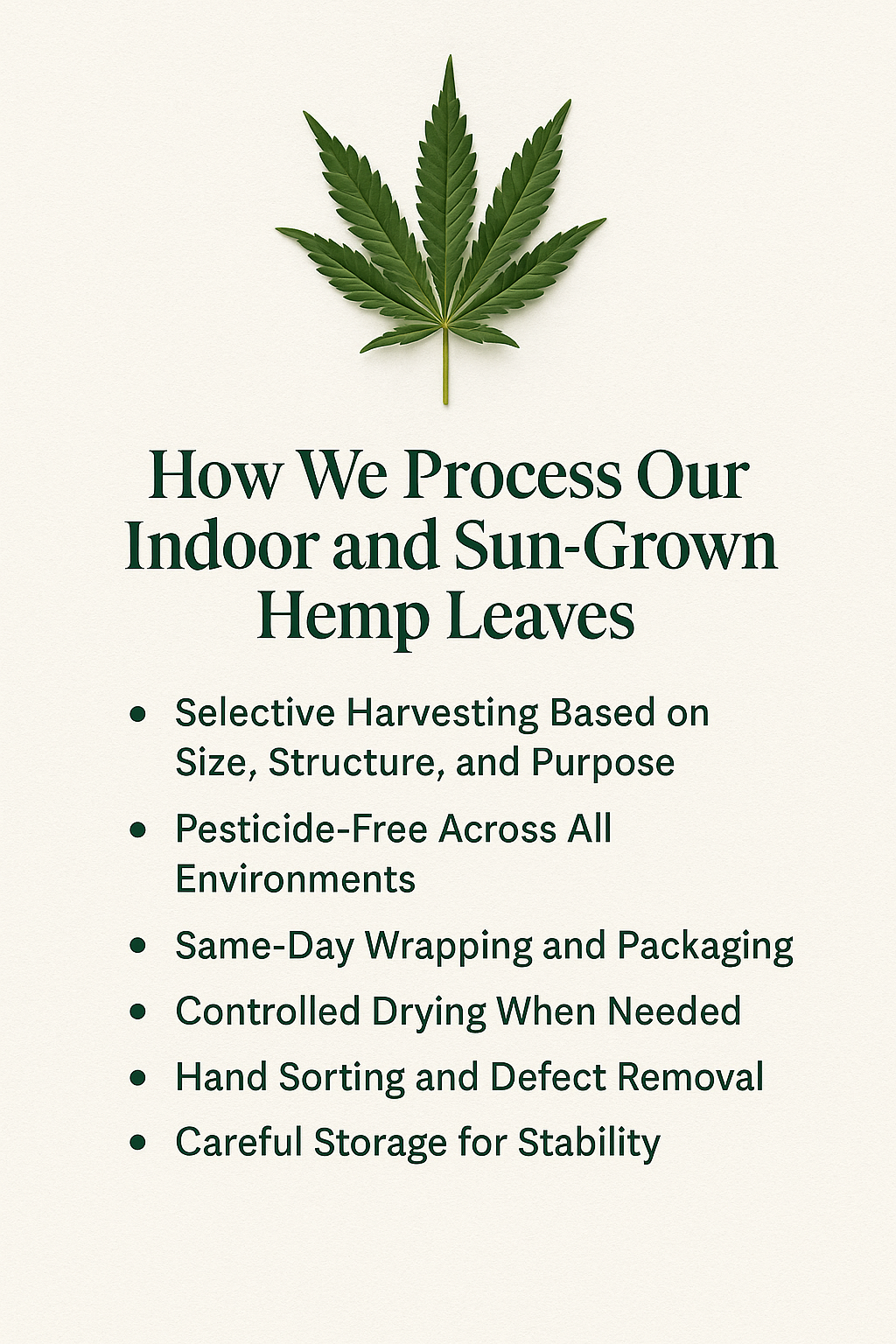 How-We-Process-Our-Indoor-and-Sun-Grown-Hemp-Leaves-From-Field-or-Grow-Room-to-Final-Packaging Ranchera Familia