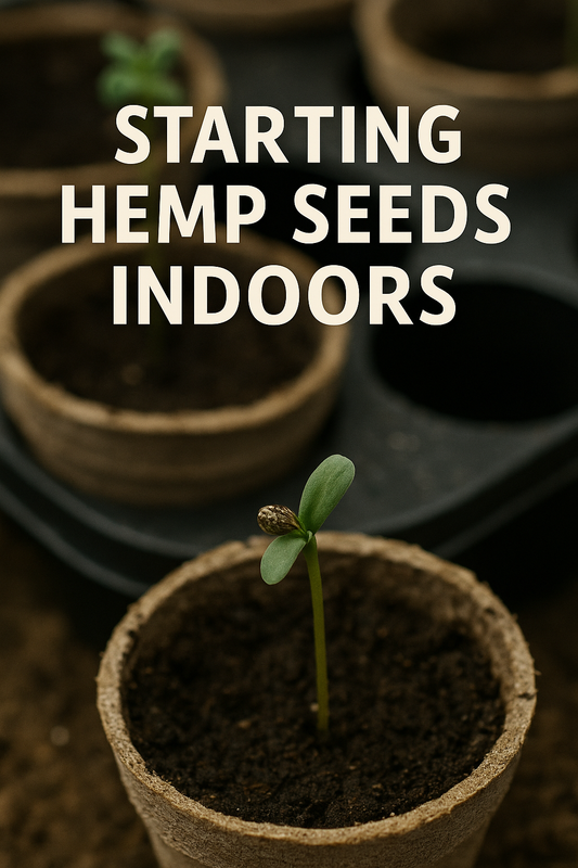 How-to-Start-Hemp-Seeds-Indoors-Beginner-s-Guide Ranchera Familia