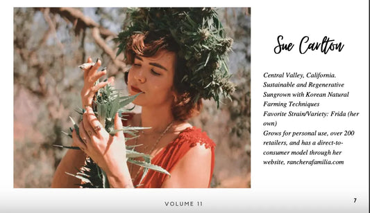 it was super important for me to set the bar for smokable hemp flower to the medical standard complete with full-panel COA's free of pesticides, metals and toxins.
