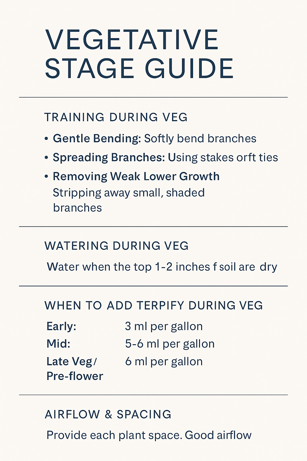 Vegetative Stage Guide With Terpify: Training, Watering & Building Strong Plants