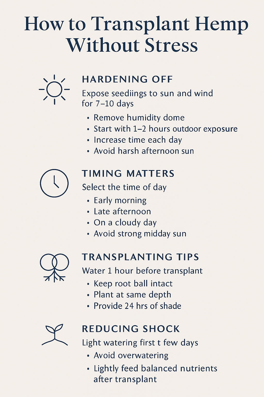 How-to-Transplant-Hemp-Without-Stress-A-Complete-Guide-for-Growers Ranchera Familia