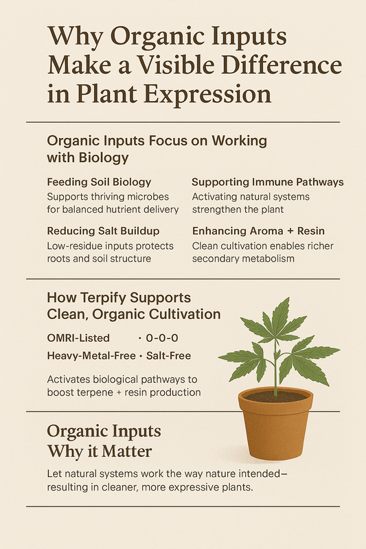 Organic Soil Amendments: Why Clean Inputs Improve Quality