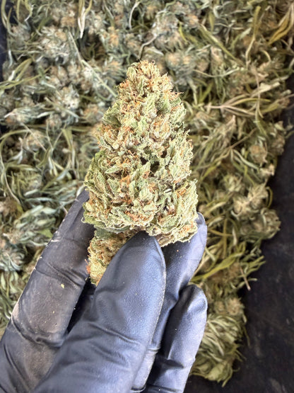 Big Badaboom | 2026 New Release Hemp Flower Hemp Coalition Worldwide