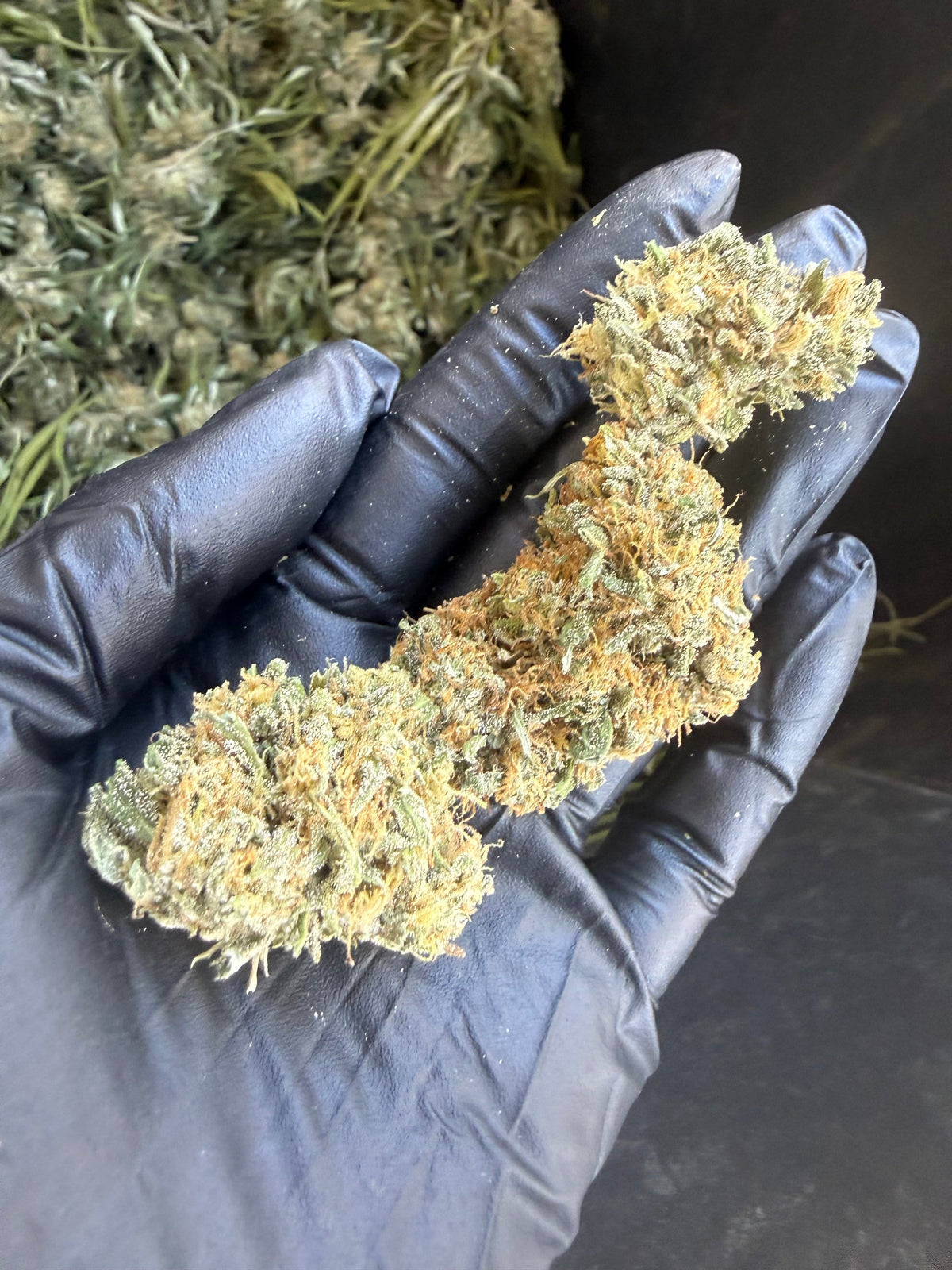 Bijou | 2026 Compliant Hemp Flower Pre-Order Hemp Coalition Worldwide
