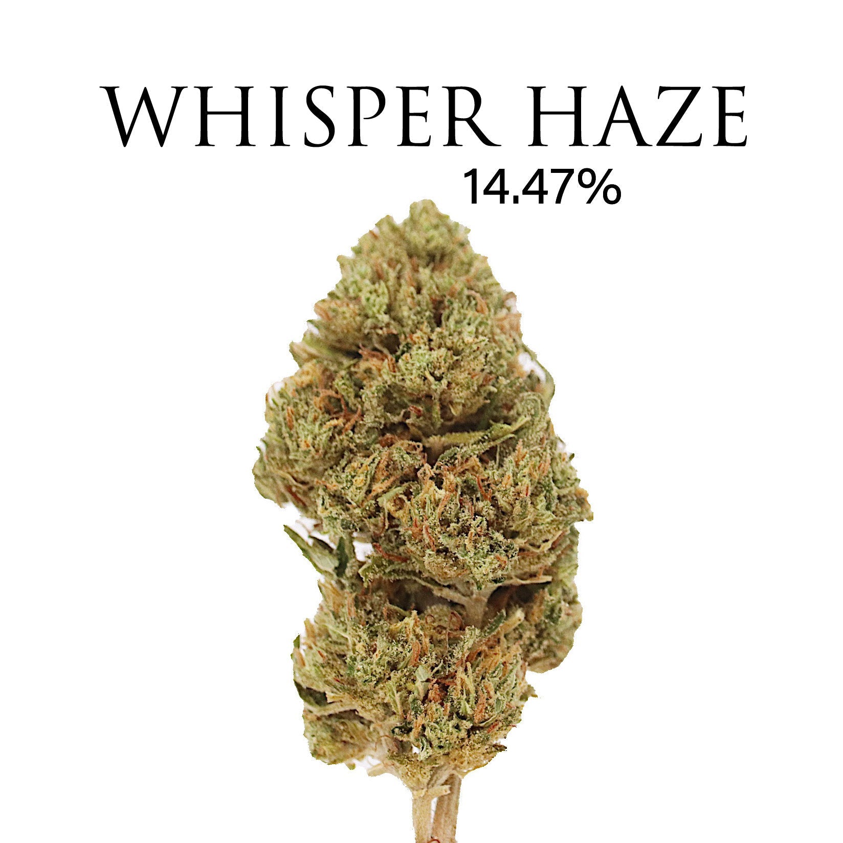 WHISPER HAZE  (NEW) 14.426% CBD - Special Collaboration With Thunder Walker Collaboration Hemp Coalition Worldwide