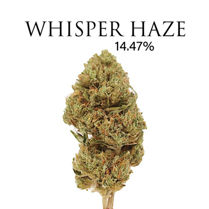 WHISPER HAZE  (NEW) 14.426% CBD - Special Collaboration With Thunder Walker Collaboration Hemp Coalition Worldwide