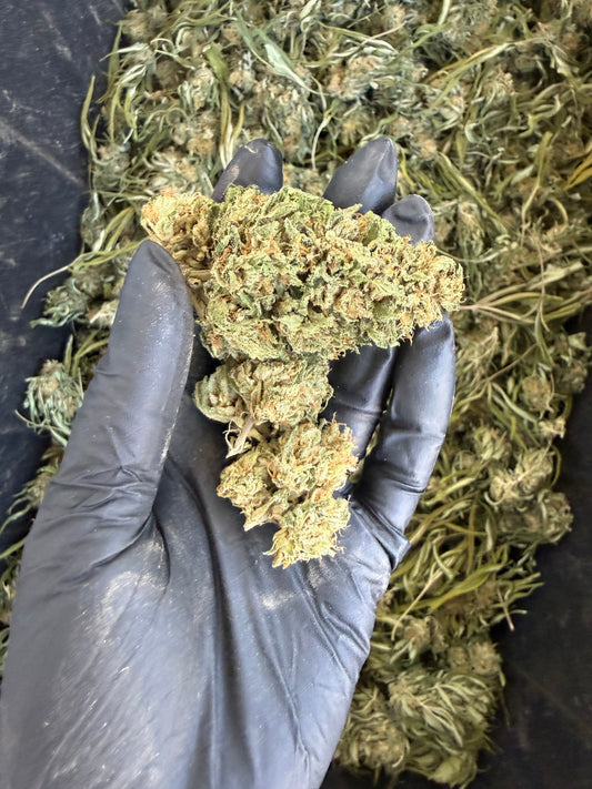 Big Badaboom | 2026 New Release Hemp Flower Hemp Coalition Worldwide
