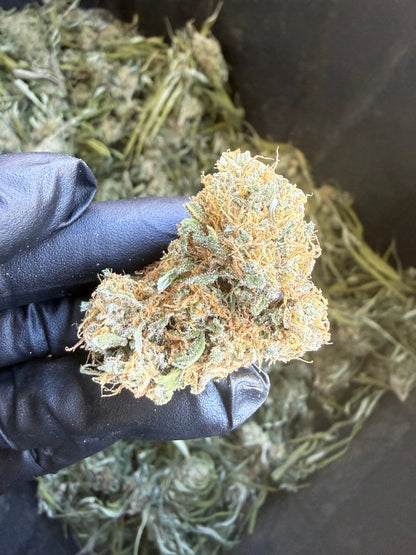 Bijou | 2026 Compliant Hemp Flower Pre-Order Hemp Coalition Worldwide