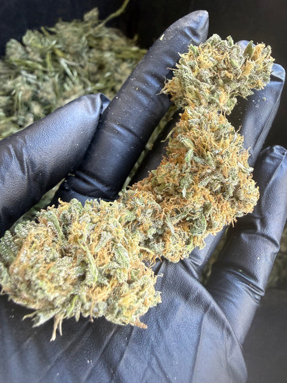 Bijou | 2026 Compliant Hemp Flower Pre-Order Hemp Coalition Worldwide