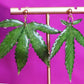 Aretes De Hoja - Canna Leaf Earrings Ranchera Familia