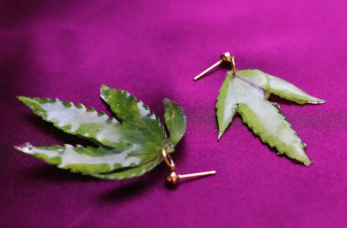 Aretes De Hoja - Canna Leaf Earrings Ranchera Familia