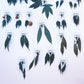 Aretes De Hoja - Canna Leaf Earrings(Second Release-SOLD OUT) Ranchera Familia