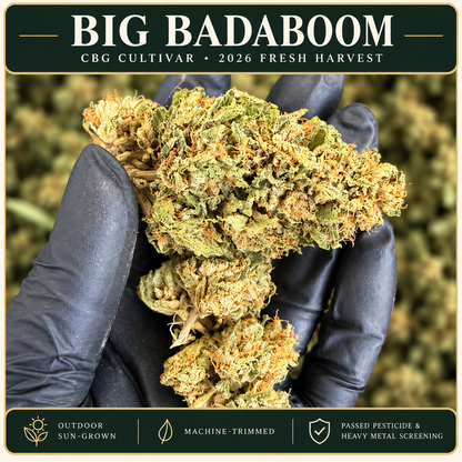 Big Badaboom — CBG Cultivar | 2026 Fresh Harvest Hemp Coalition Worldwide