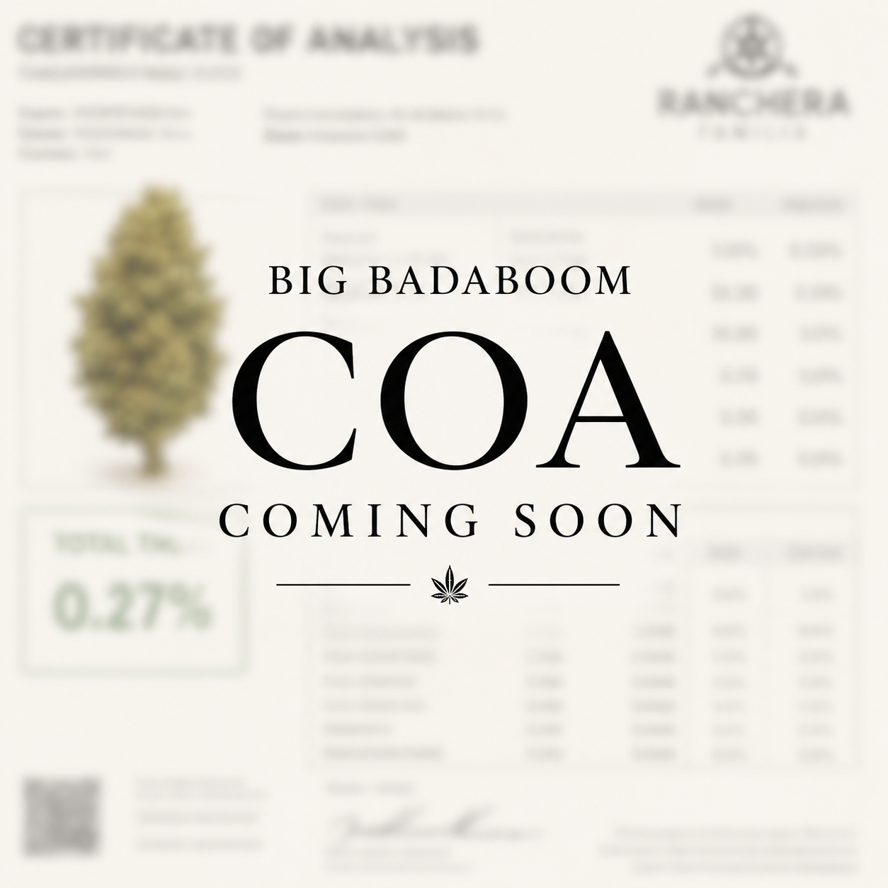 Big Badaboom | 2026 New Release Hemp Flower Hemp Coalition Worldwide