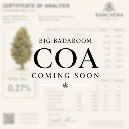 Big Badaboom | 2026 New Release Hemp Flower Hemp Coalition Worldwide