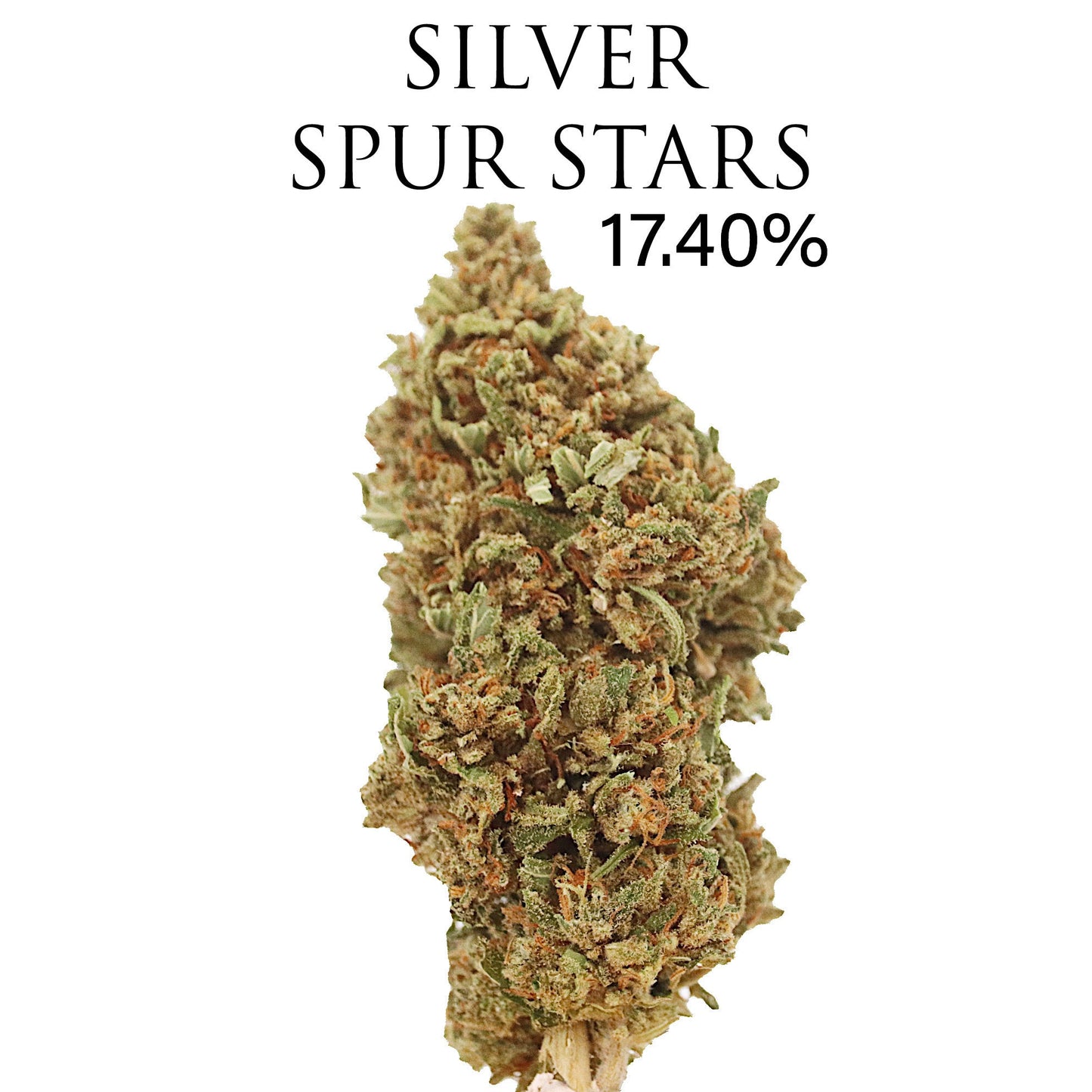 SILVER SPUR STAR (NEW)  17.402% CBD - Special Collaboration With Thunder Walker Hemp Coalition Worldwide