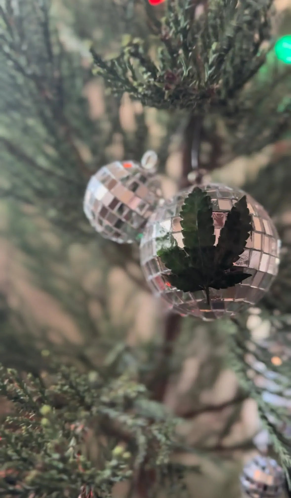 DISCO HEMP LEAF ORNAMENT Ranchera Familia