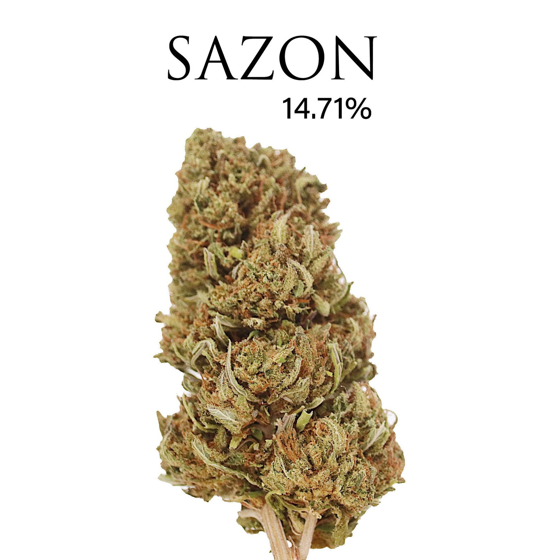 Sazon (NEW) 15.417% CBD Flower Hemp Coalition Worldwide