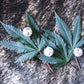 FRESH CBD HEMP LEAVES The Botanical Joint