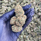FRIDA 15.65% CBD Hemp Coalition Worldwide