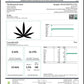 Frida Feminized CBD Hemp Seeds The Botanical Joint