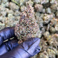 Frosted Grapes 15.91% CBD Hemp Coalition Worldwide