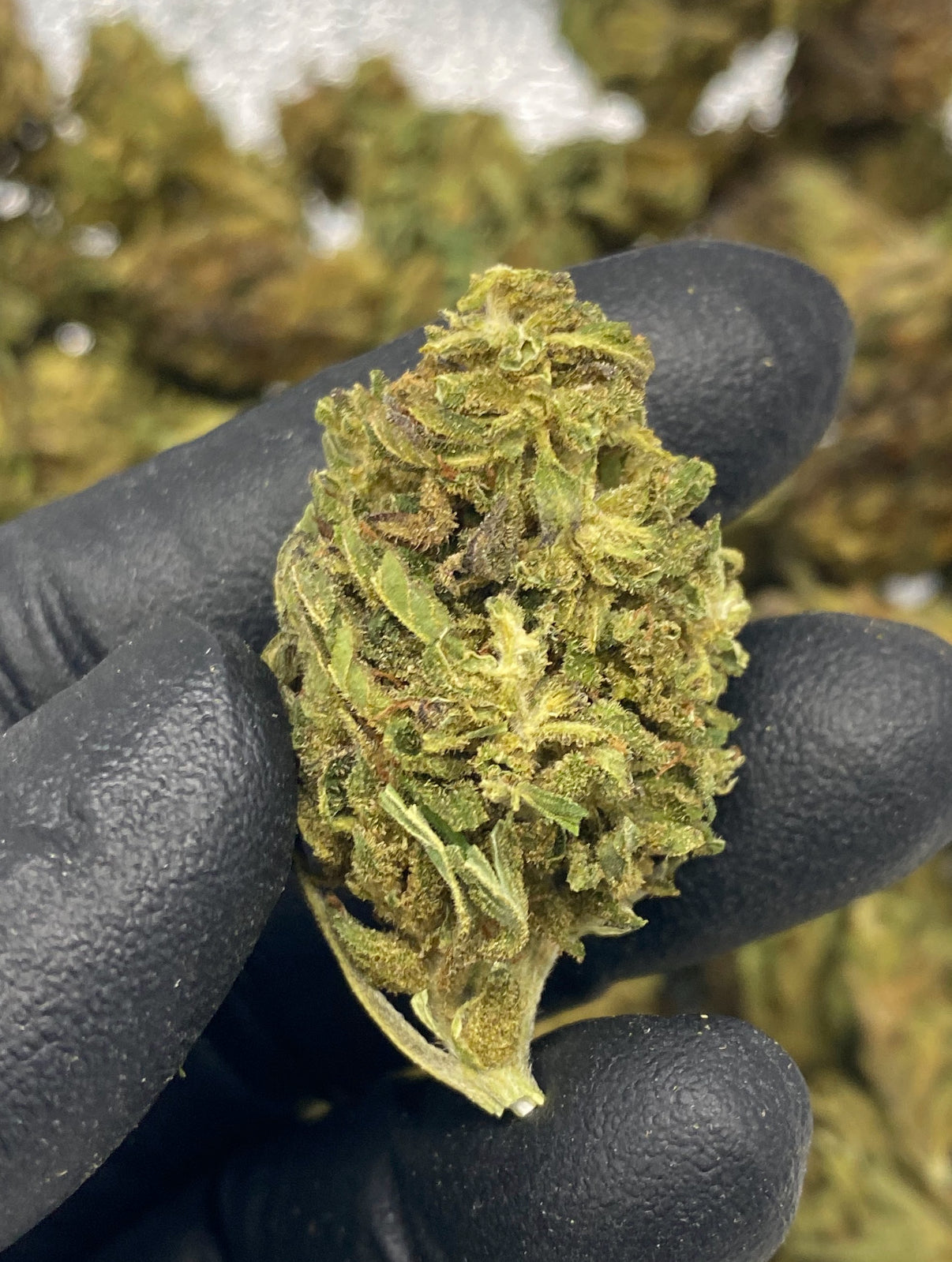 Remedy 11.59% CBD Hemp Coalition Worldwide