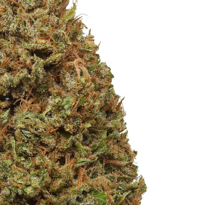 Hempress CBD Flower 17.98% CBD